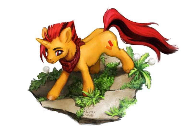 Pony on a Walk