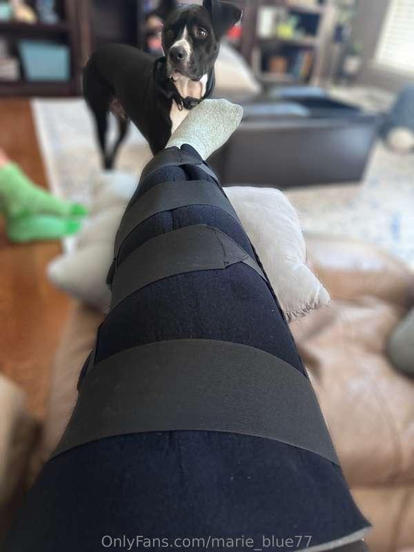 I’ve debated posting this here, but I feel you guys need an ..