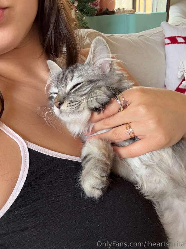 cozyyy 🐱