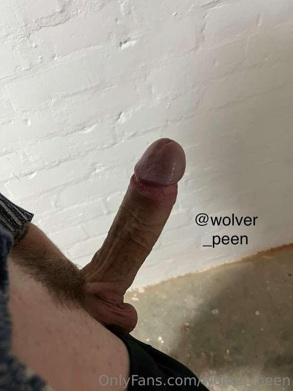 wolver_peen image #1