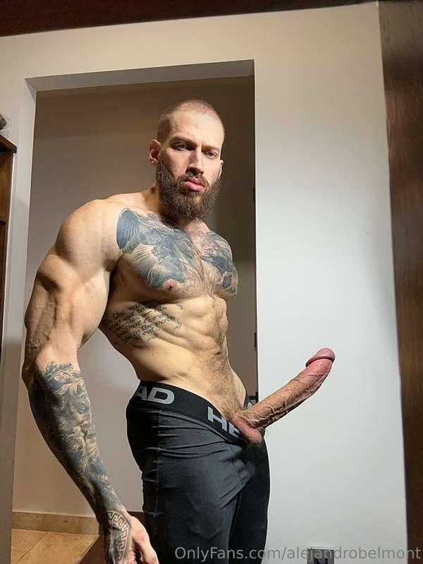 alejandrobelmont image #1