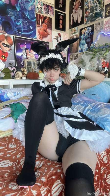 indigowhite image #74