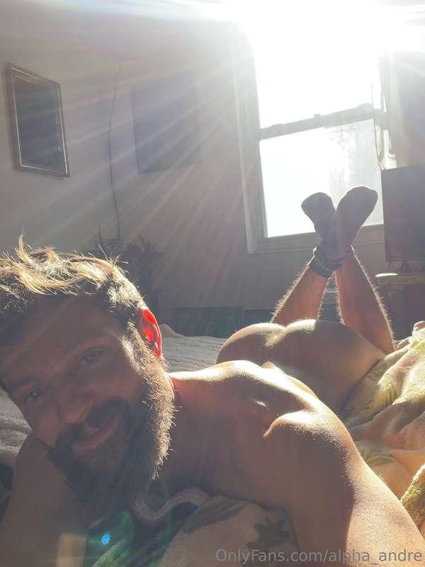 alpha_andre image #4