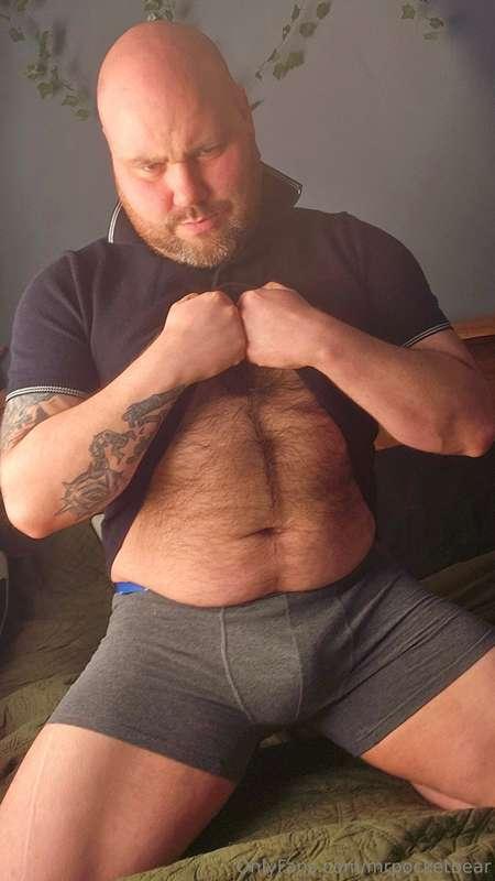 mrpocketbear image #0