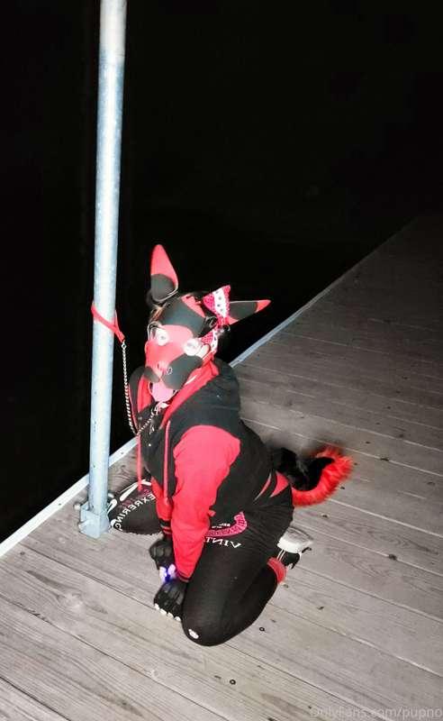 kodi_pup image #0