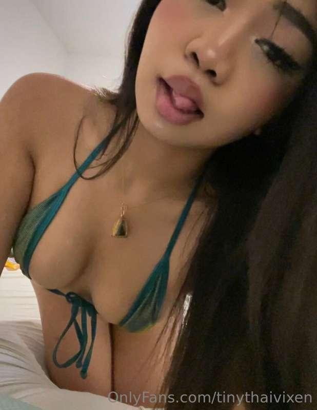 tinythaivixen main image