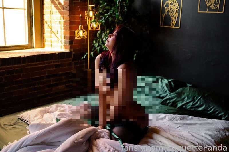 coquettepanda image #1