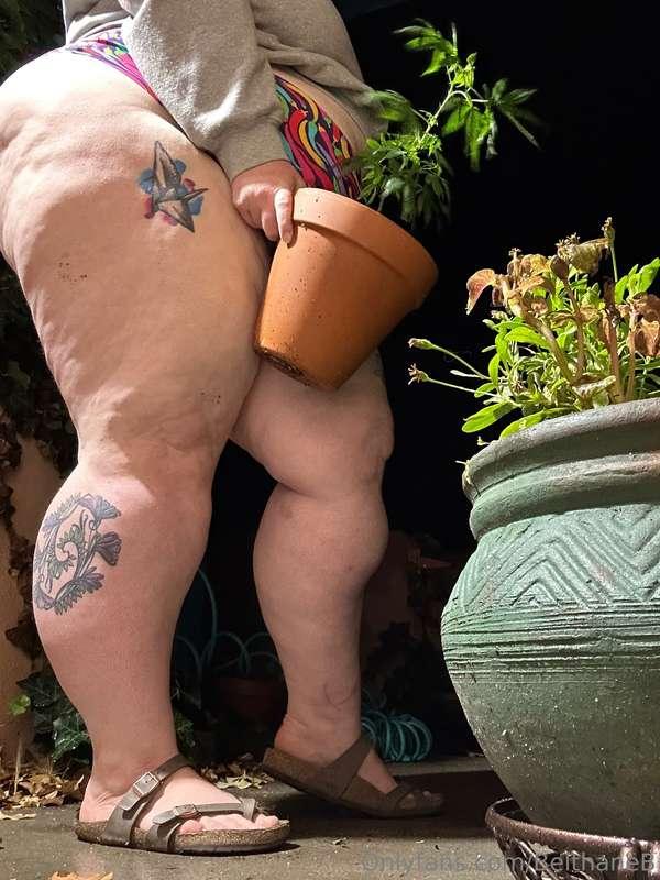 By the time I realized I was gardening in my undies, in my f..