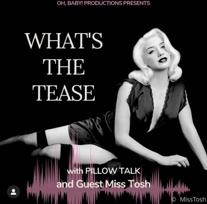 Pillow Talk with “what the tease” 💋 click link below to list..