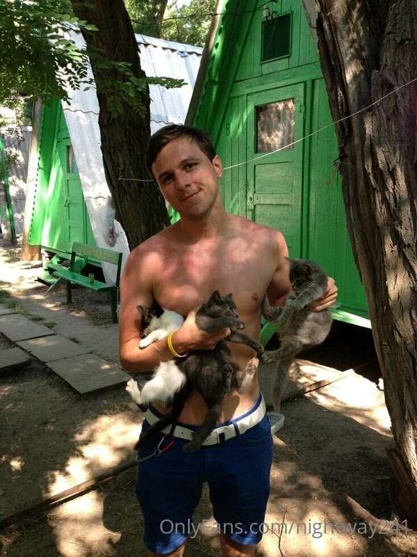 Cat and kittens 🐈