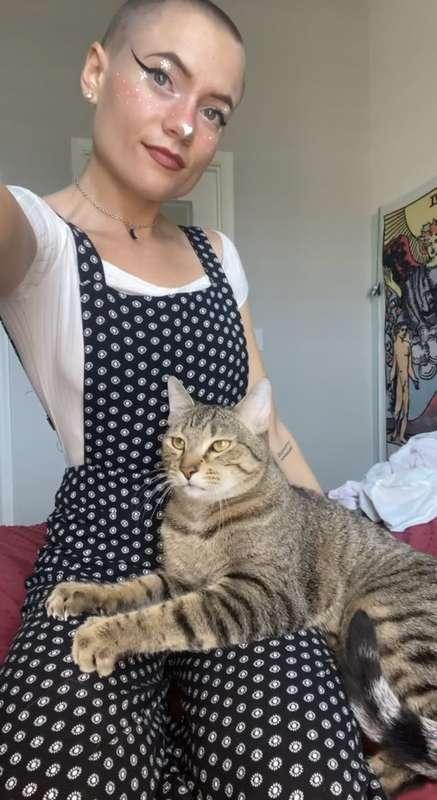 PART 2 WITH THIS BEAUTIFUL BOY!! His name is fez and he just..