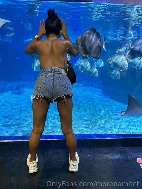 Flashing the fish....it was there lucky day....
well the guy..
