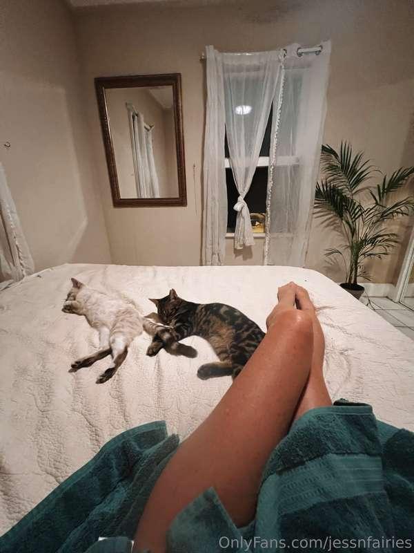 Heaven 🧚🏻‍♀️😽