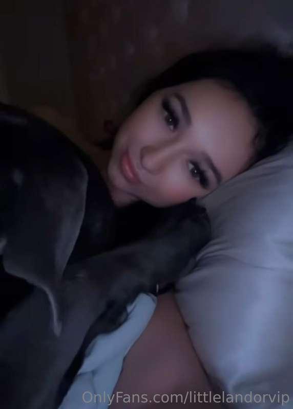puppy cuddles