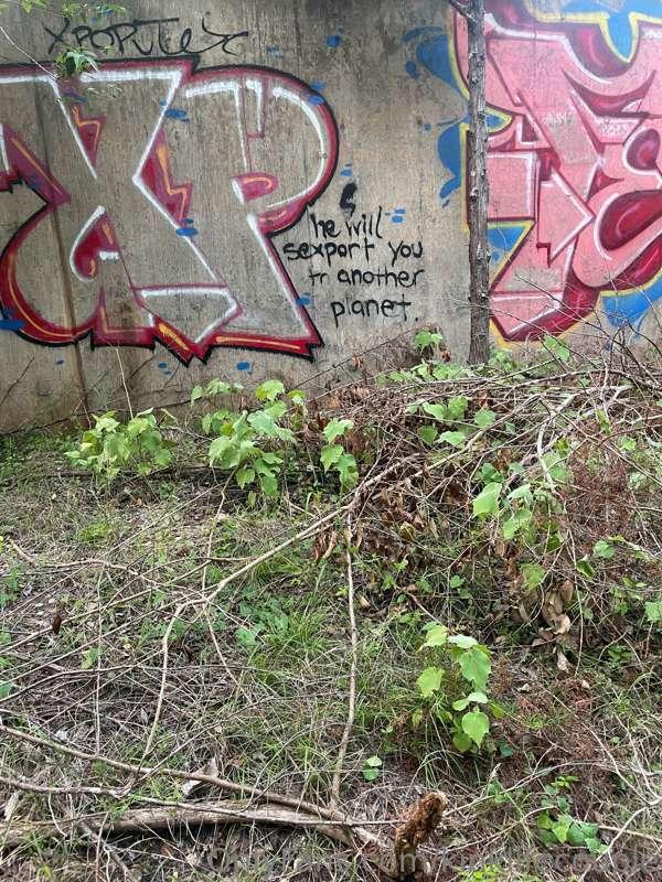 What we found on our hike. Can’t wait to be out of one room ..
