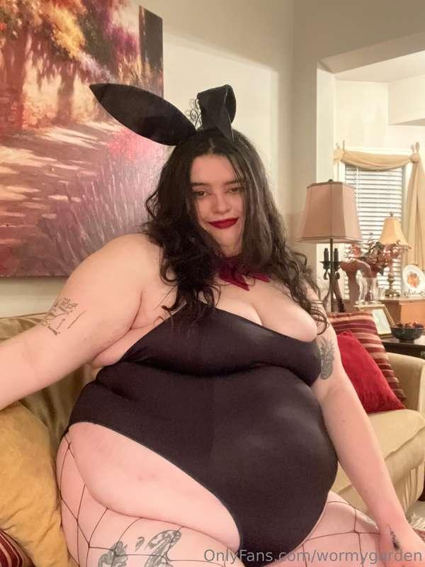 wormygarden image #12