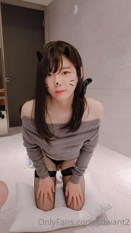 cdwant2 image #12