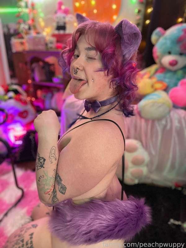 peachpwuppy image #5