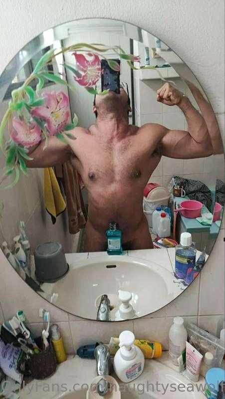 naughtyseawolf image #1