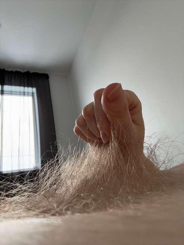 hairyblondie image #0