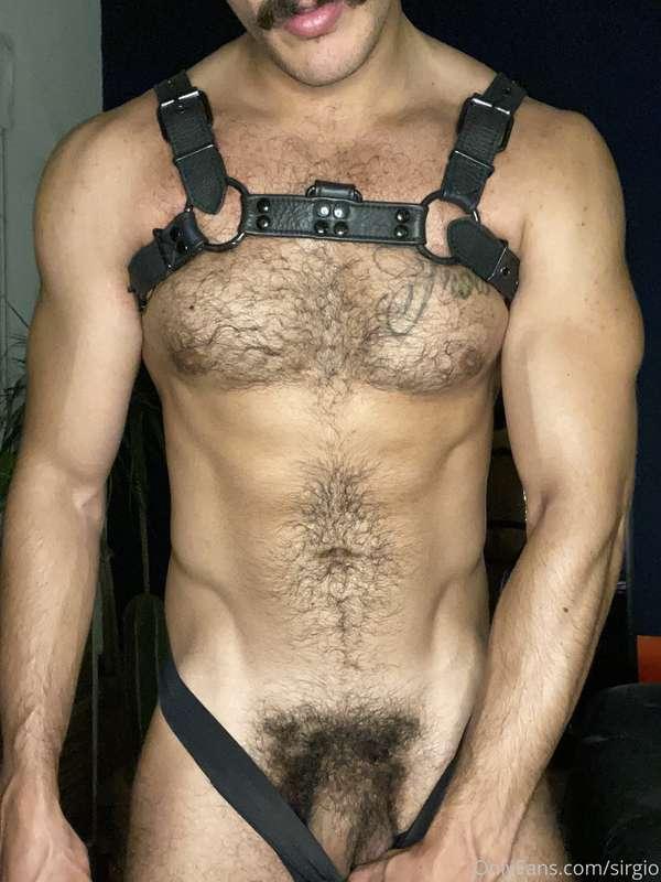 Sweet dreams