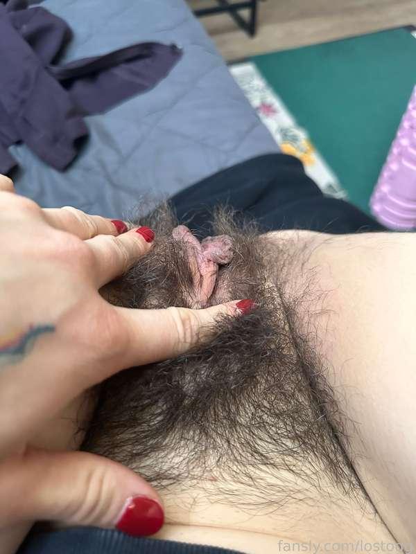 lostodg image #1