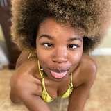 thenovapandafree