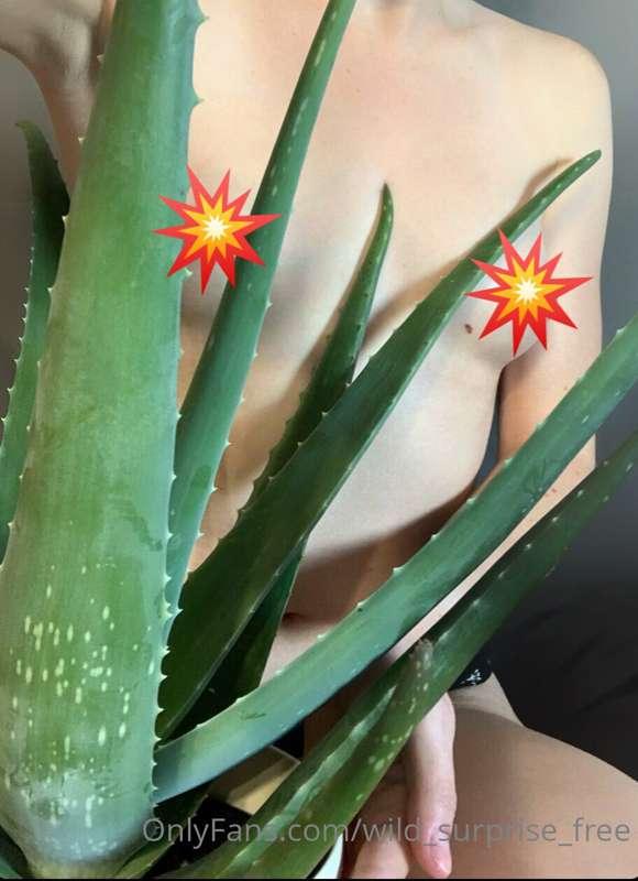 Nipples as stiff as the spines of the plant 😈