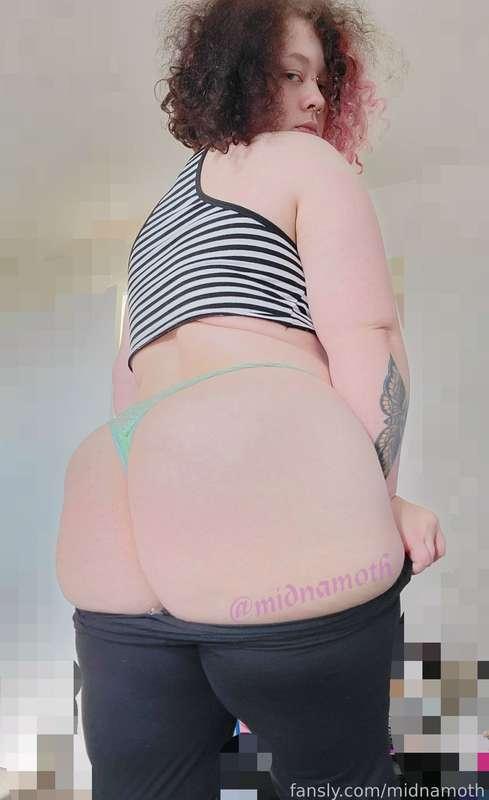 midnamoth image #2