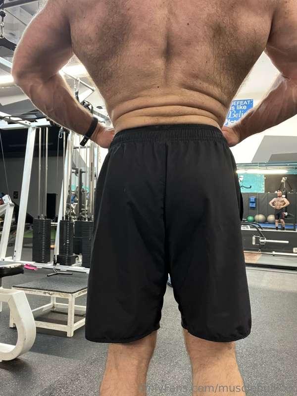 musclebullxxx image #23