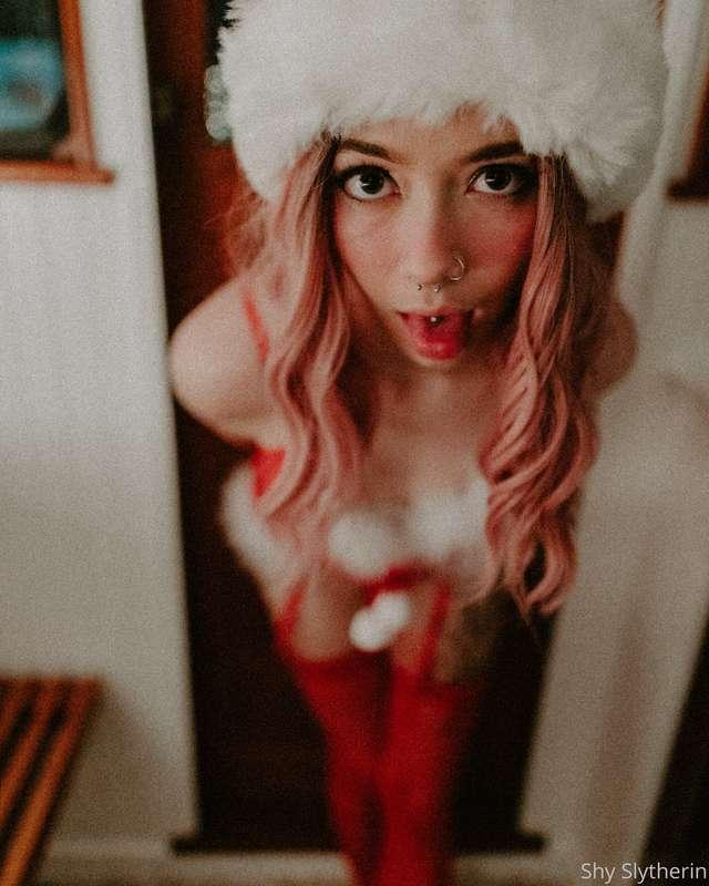 Santa's little helper