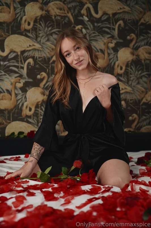 Wanna be.. my Valentine? 🌹