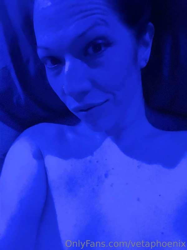 vetaphoenix image #0