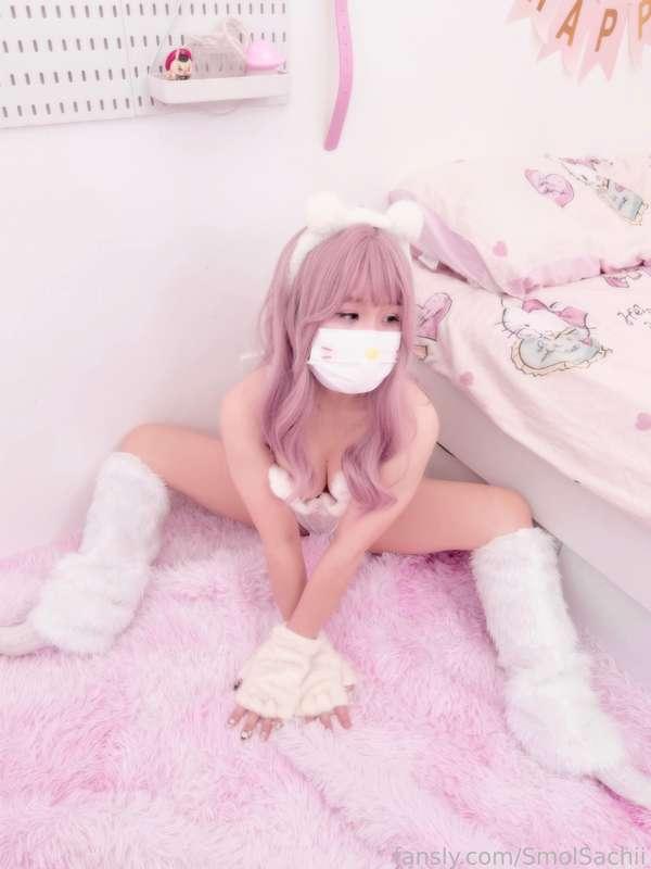 smolsachii image #2