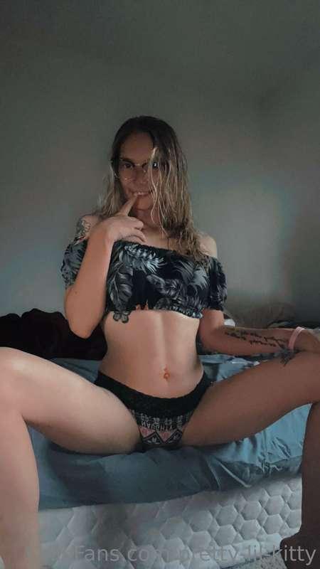 pretty-lil-kitty image #1