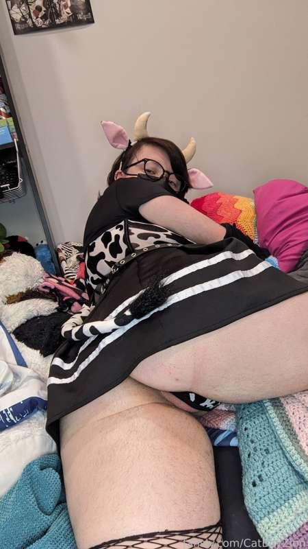 catboyzion image #15