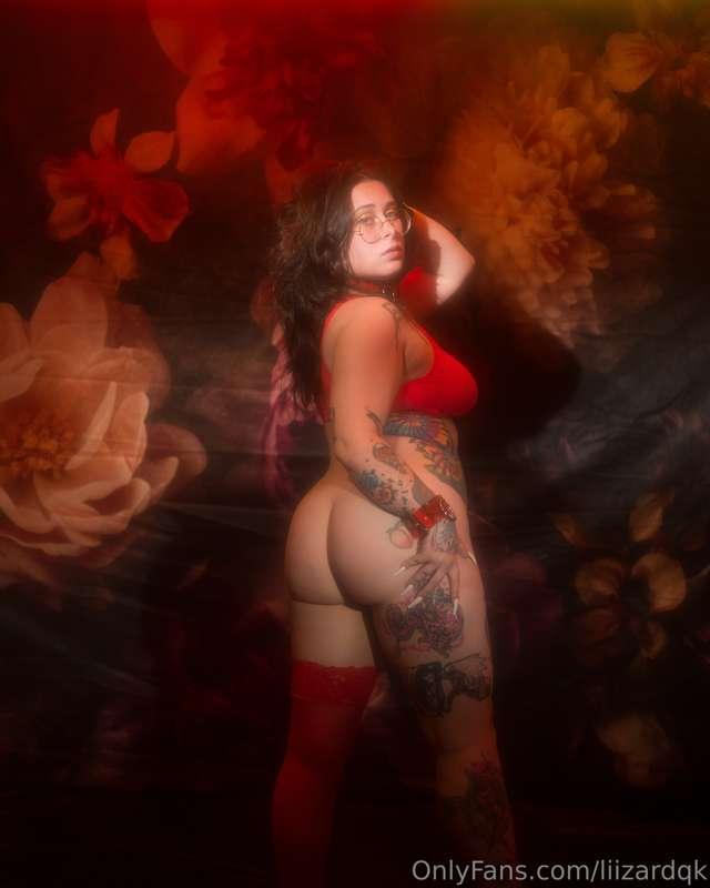liizardqk image #2