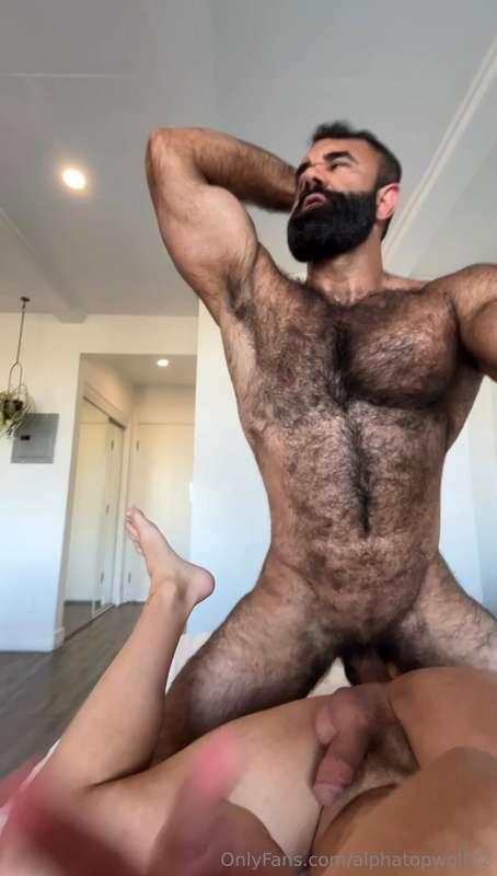 alphatopwolf22 image #29