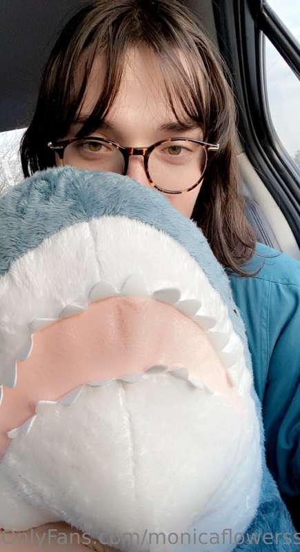 I got a shark 🤭