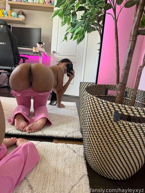 hayleyxyz image #10