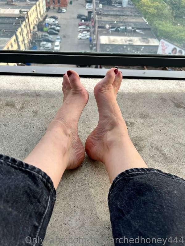 higharchedhoney444 image #1