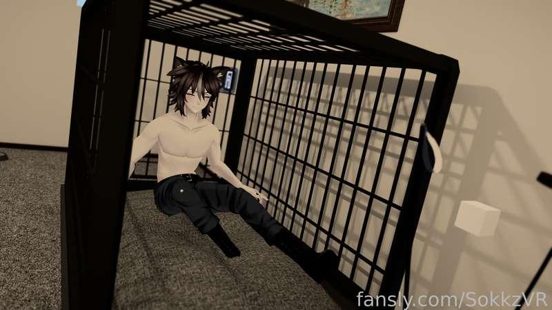sokkzvr image #4