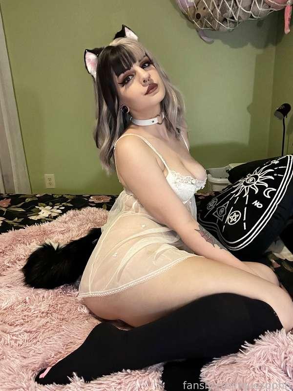 quesophh image #0