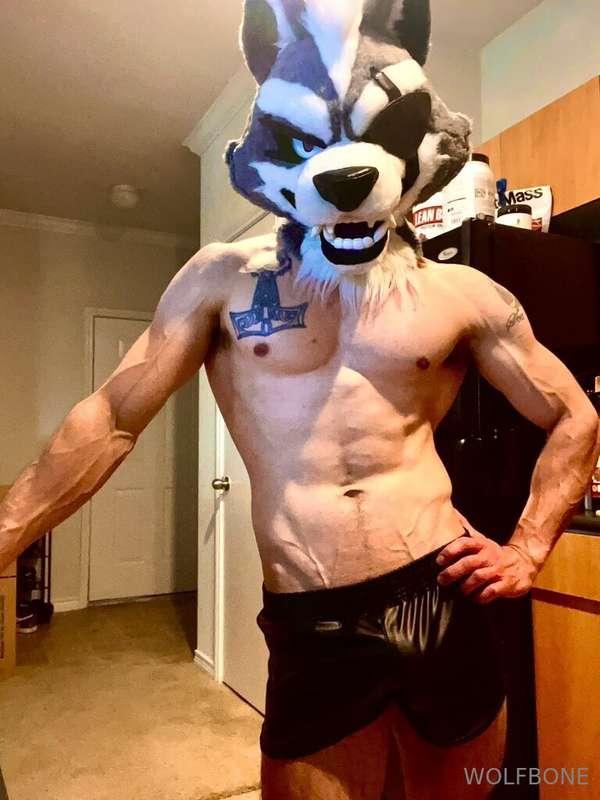 frute_brute image #0