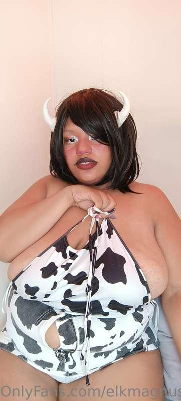 Cow preview