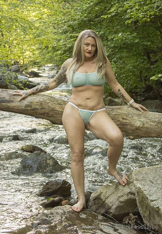 holliess1free main image