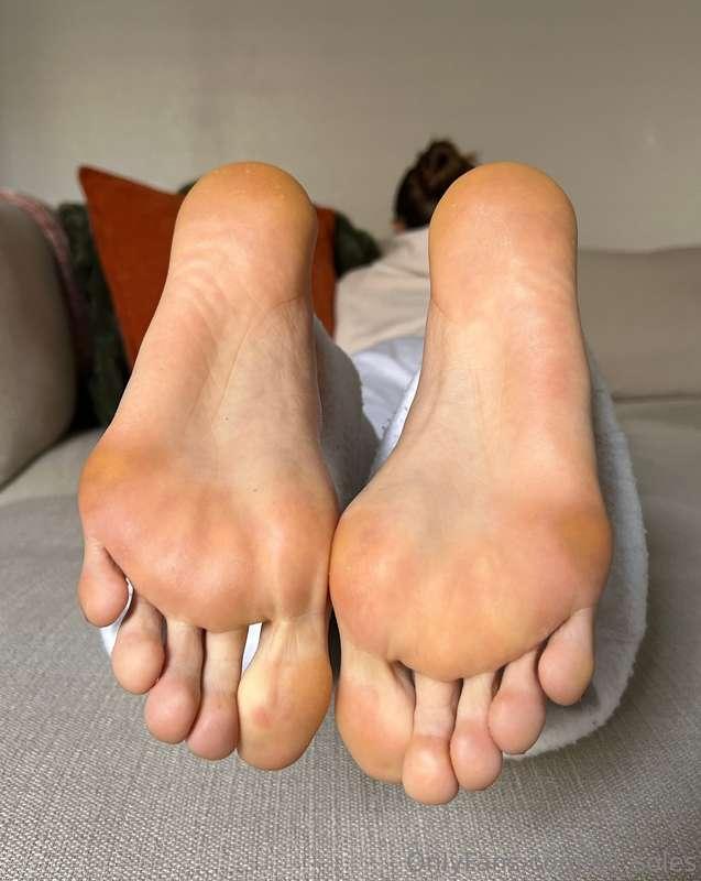 Have a sniff, don’t be shy 😋👃🏼