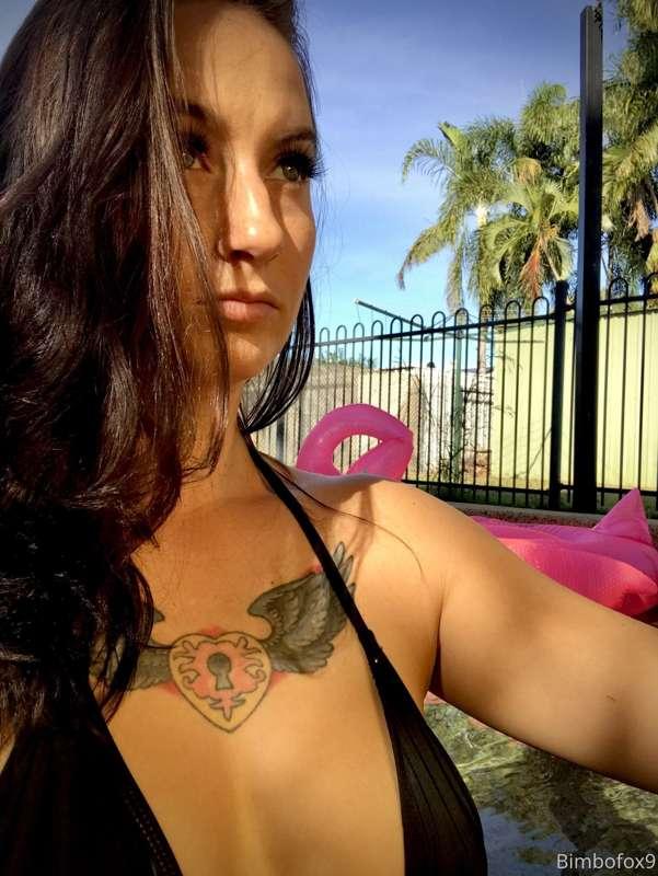 fox_photography image #0