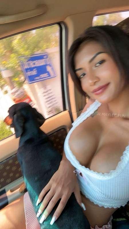 Few adventures with miss Maddie 🐶 There's no such thing as p..