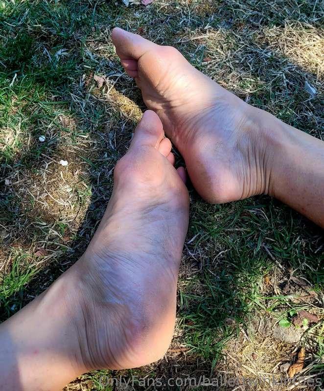 Wrinkled Wednesday 👣 keeping it cool in the shade 😎